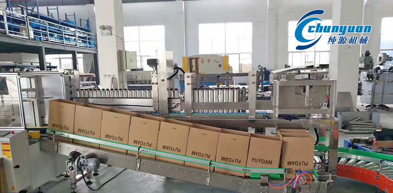 裝箱機(jī)，挑選裝箱機(jī)，純?cè)囱b箱機(jī)，純?cè)礄C(jī)械